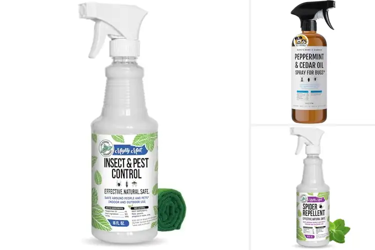 Detailed view of Best Indoor Bug Repellents