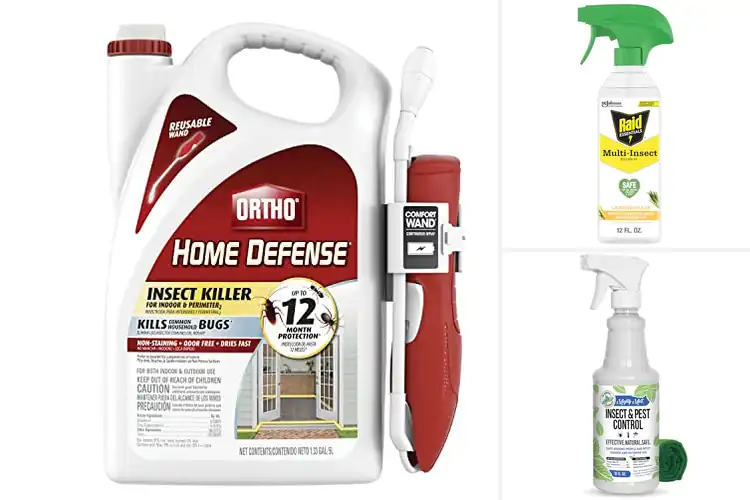 Detailed view of Best Indoor Bug Sprays For Home: Top 10 Pest-Free Solutions
