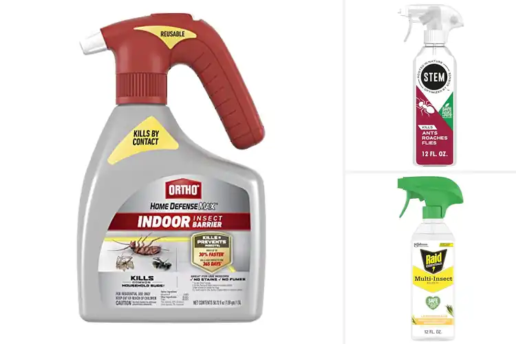 Detailed view of Best Indoor Bug Sprays