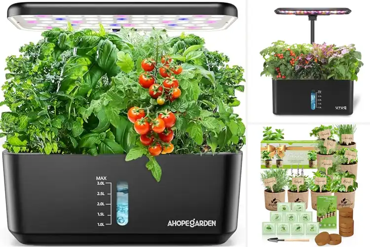 Detailed view of Best Indoor Gardening Kits : Grow Fresh Food Year-Round