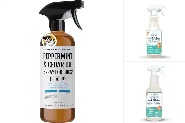 Detailed view of Best Indoor Pest Control Cedar Oil