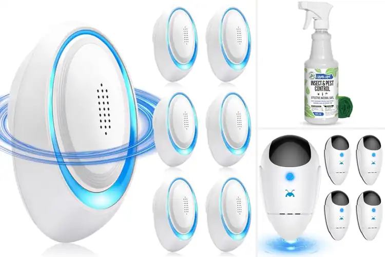 Detailed view of Best Indoor Pest Control Solutions: 10 Safe & Effective Ways