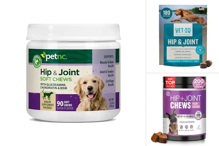 Detailed view of Best Joint Health Support Chews