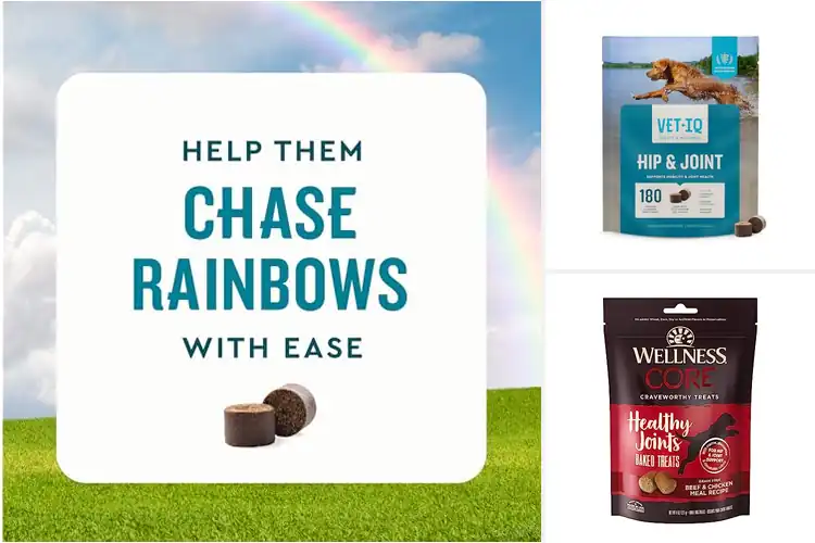 Detailed view of Best Joint Health Treats