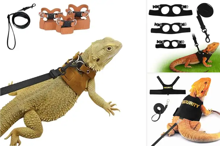 Detailed view of Best Lizard Harnesses
