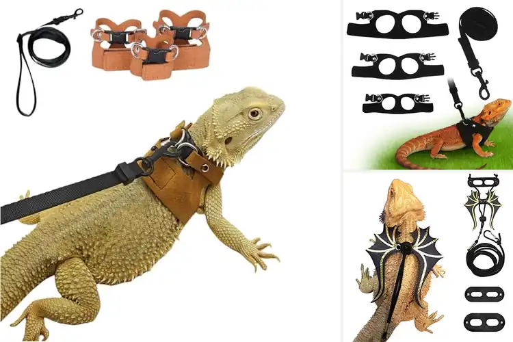 Detailed view of Best Lizard Leashes