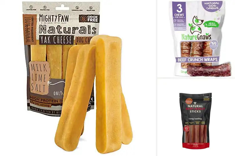 Detailed view of Best Long-Lasting Dog Chews: 10 Healthy & Happy Pup Picks
