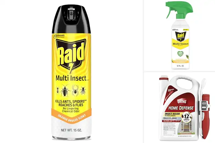 Detailed view of Best Multi-Insect Home Sprays