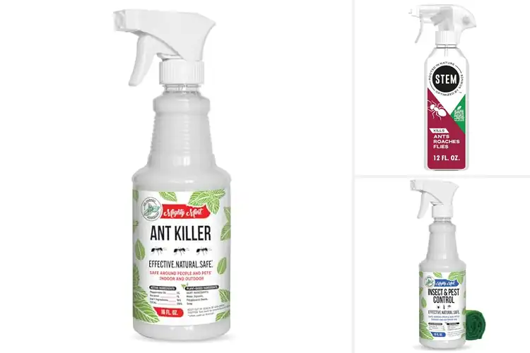 Detailed view of Best Natural Ant Killers for a Peaceful, Pest‑Free Home