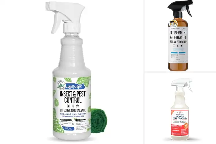 Detailed view of Best Natural Ant Repellent Sprays For Homes