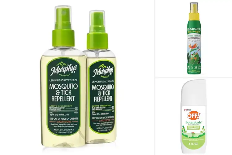 Detailed view of Best Natural Bug Sprays