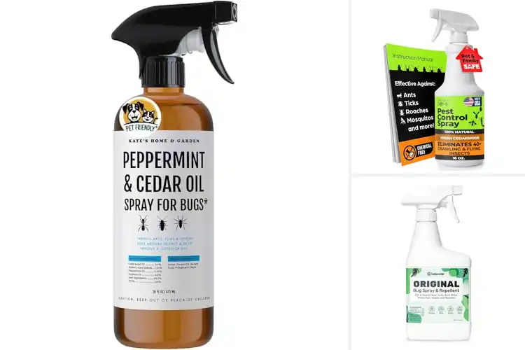 Detailed view of Best Natural Cedar Oil Bug Sprays