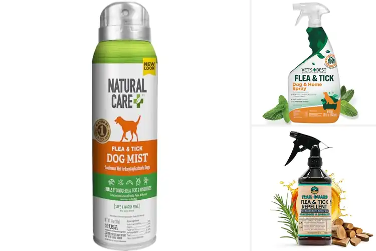 Detailed view of Best Natural Flea Repellents