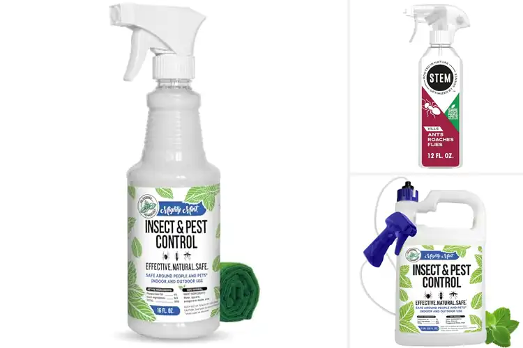 Detailed view of Best Natural Home Bug Sprays: Your Pest-Free Haven
