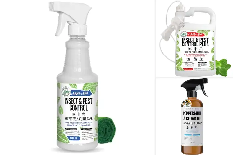 Detailed view of Best Natural Insect Repellent For Home