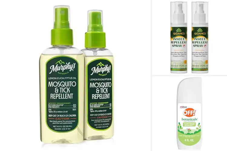Detailed view of Best Natural Insect Repellents