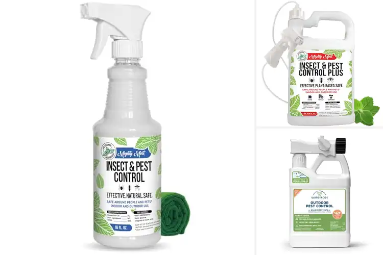 Detailed view of Best Natural Outdoor Bug Sprays