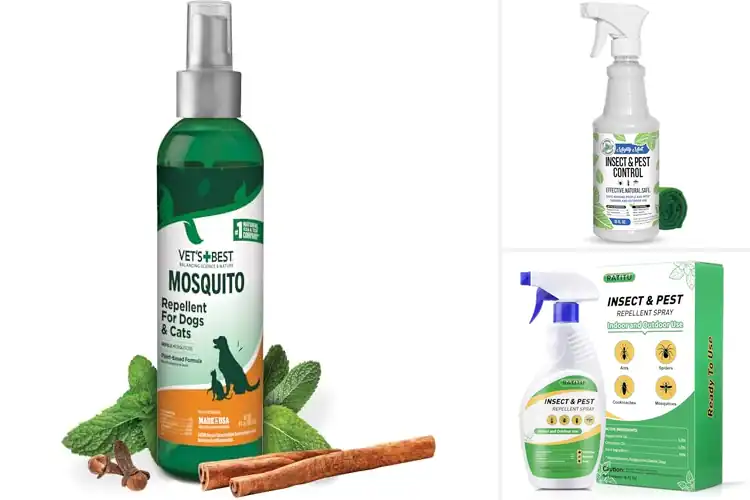 Detailed view of Best Natural Pet Bug Repellents