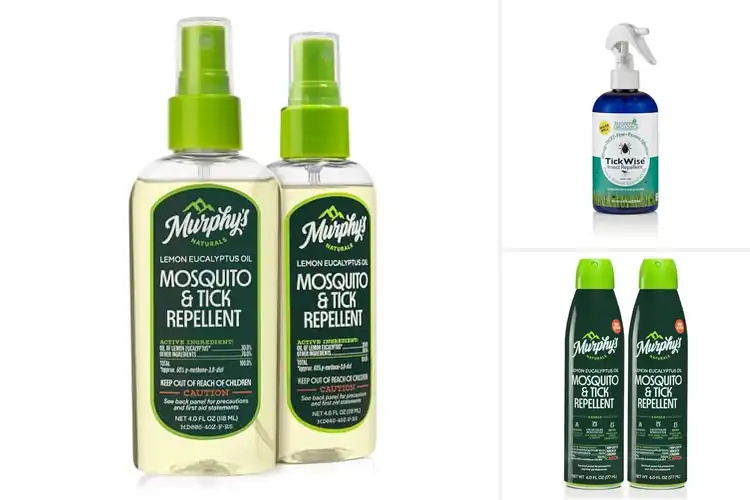 Detailed view of Best Natural Tick Repellents for Safe Outdoor Protection