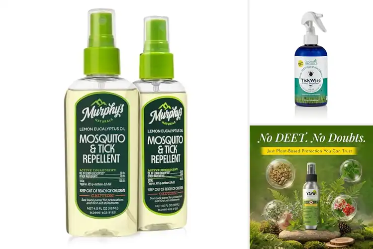 Detailed view of Best Natural Tick Sprays for Safe Outdoor Protection