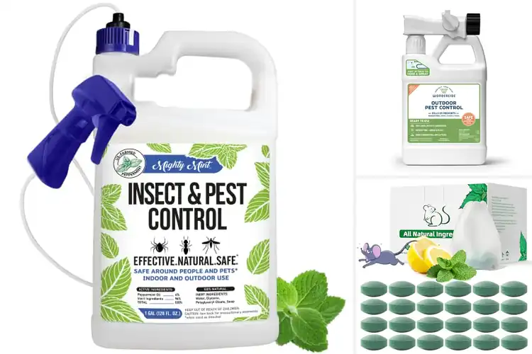 Detailed view of Best Outdoor Pest Repellents