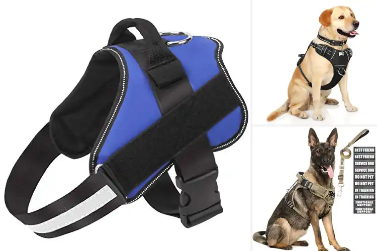 Detailed view of Best Outdoor Pet Harnesses for Safe, Comfy Adventures