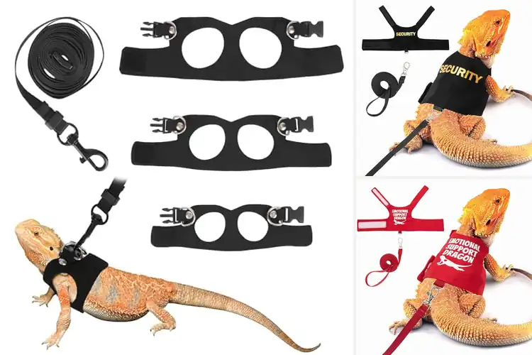 Detailed view of Best Outdoor Reptile Harnesses