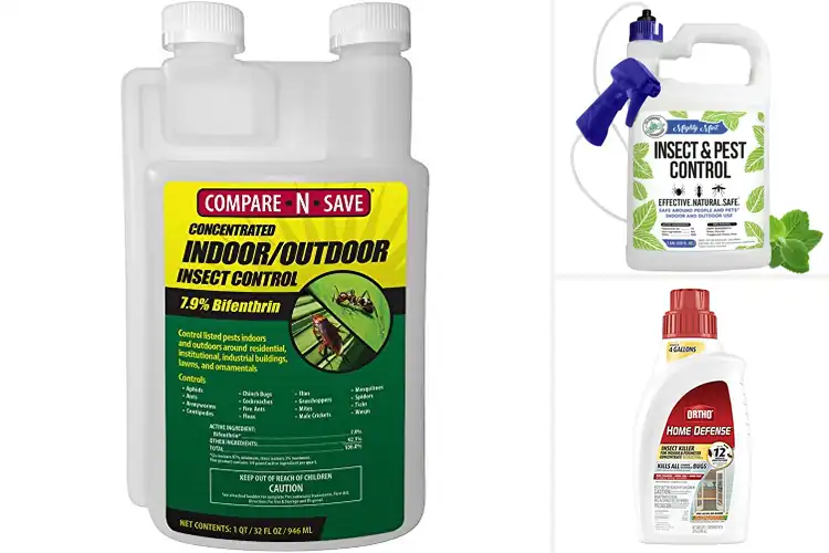 Detailed view of Best Pest Control Solutions