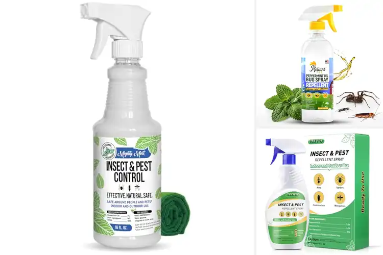 Detailed view of Best Pet-Safe Bug Repellents