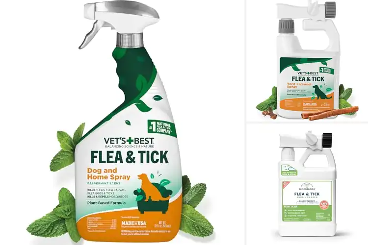 Detailed view of Best Pet-Safe Flea And Tick Sprays