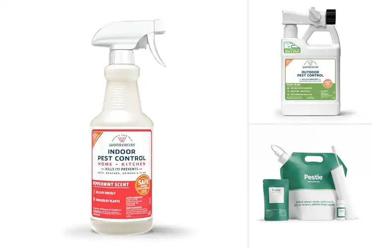 Detailed view of Best Pet-Safe Pest Control