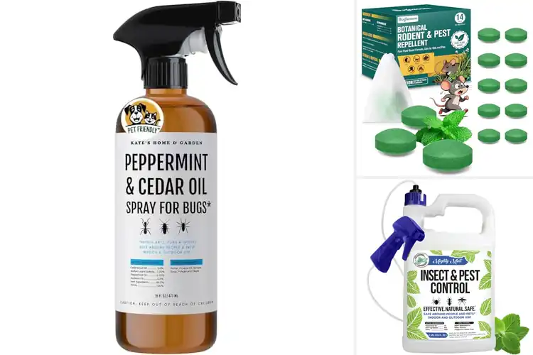 Detailed view of Best Pet-Safe Pest Repellents