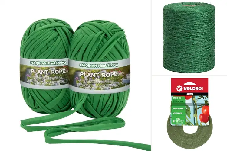 Detailed view of Best Plant Support Twines