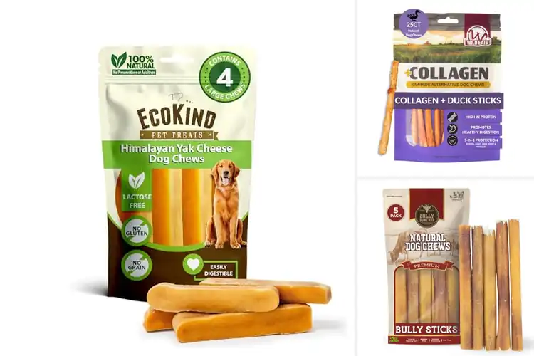 Detailed view of Best Premium Dog Chews: Top Picks for Happy, Healthy Dogs