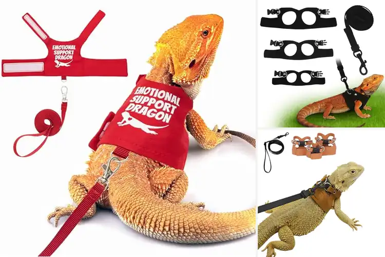 Detailed view of Best Reptile Harnesses