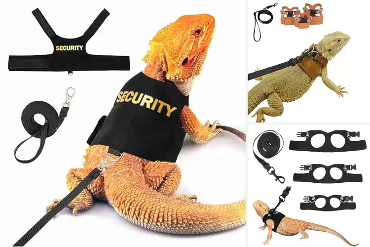 Detailed view of Best Reptile Walking Harnesses