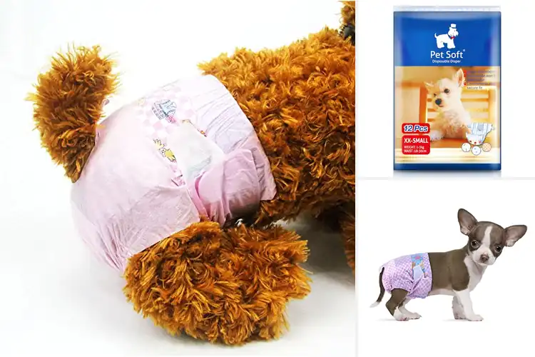 Detailed view of Best Small Cat And Tiny Dog Diapers
