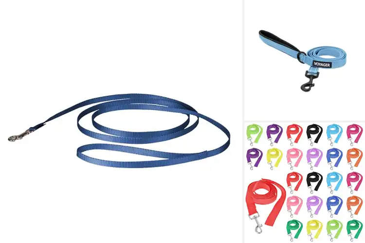 Detailed view of Best Small Pet Leashes: Wallet-Friendly, Durable Comfort