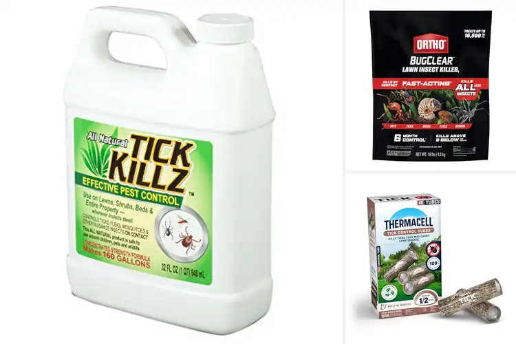 Detailed view of Best Tick Killers for a Safer, Bite‑Free Yard