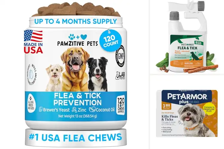 Detailed view of Best Tick Prevention Solutions