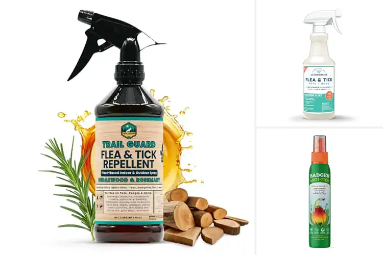 Detailed view of Best Tick Repellent Sprays For People And Pets