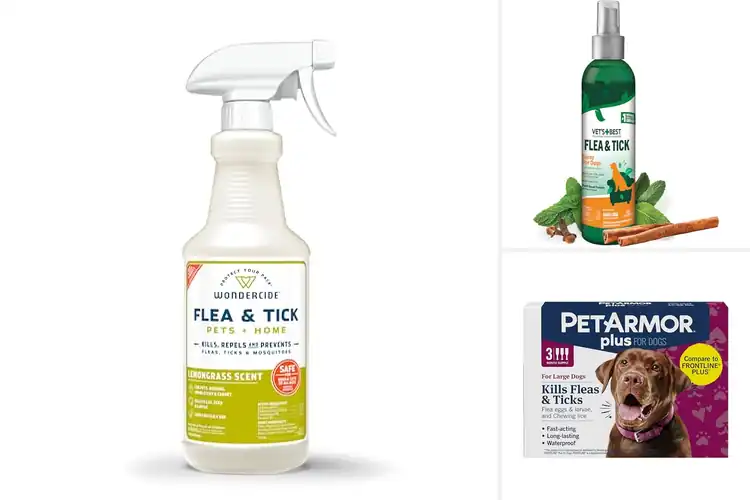 Detailed view of Best Tick Repellents for Pets: Top Picks for Safe Protection