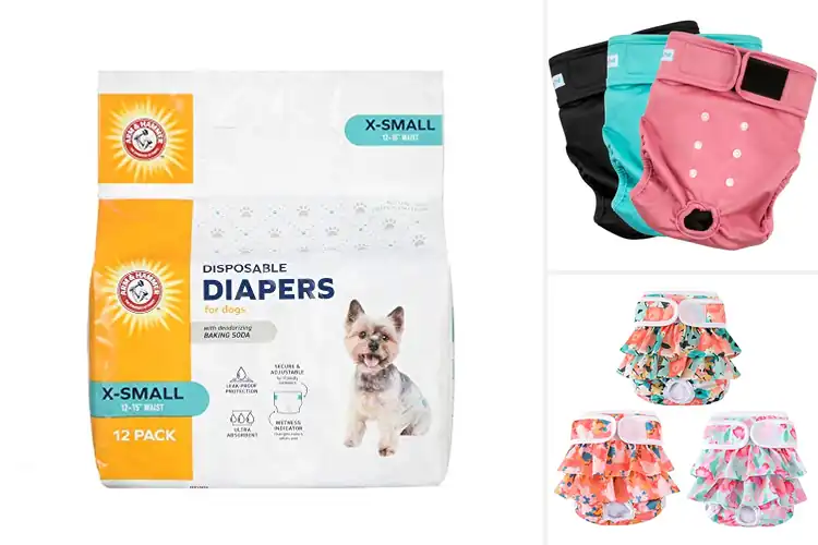 Detailed view of Best XSmall Dog Diaper Size